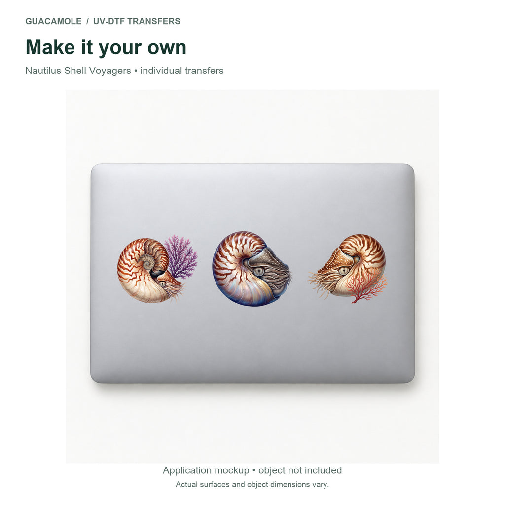 Nautilus Shell Voyagers — Three designs on a laptop