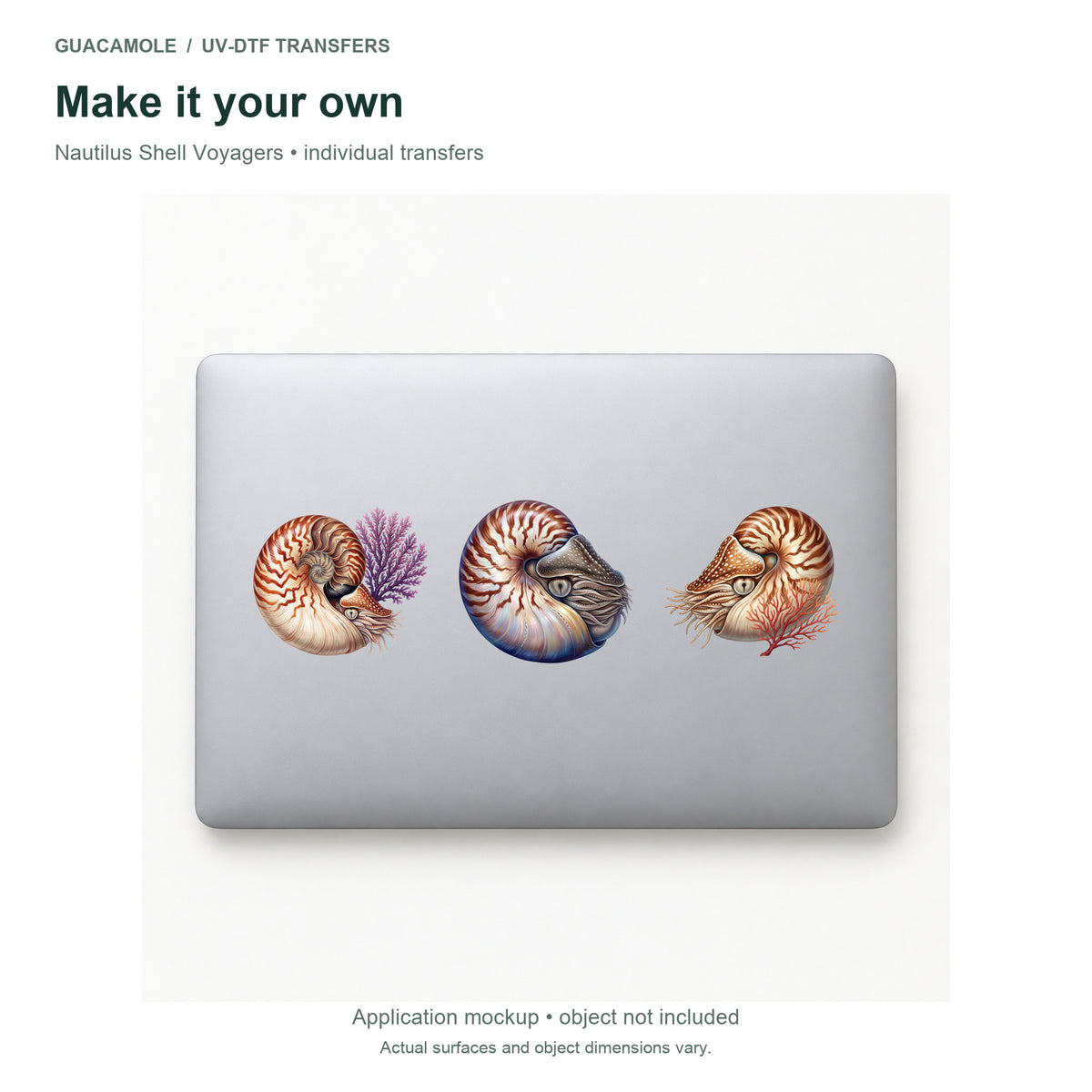 Nautilus Shell Voyagers — Three designs on a laptop