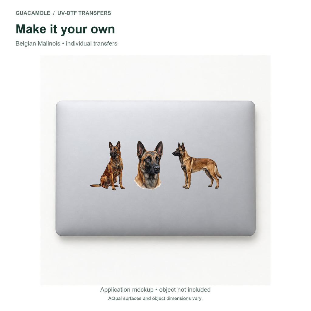 Belgian Malinois — Three designs on a laptop