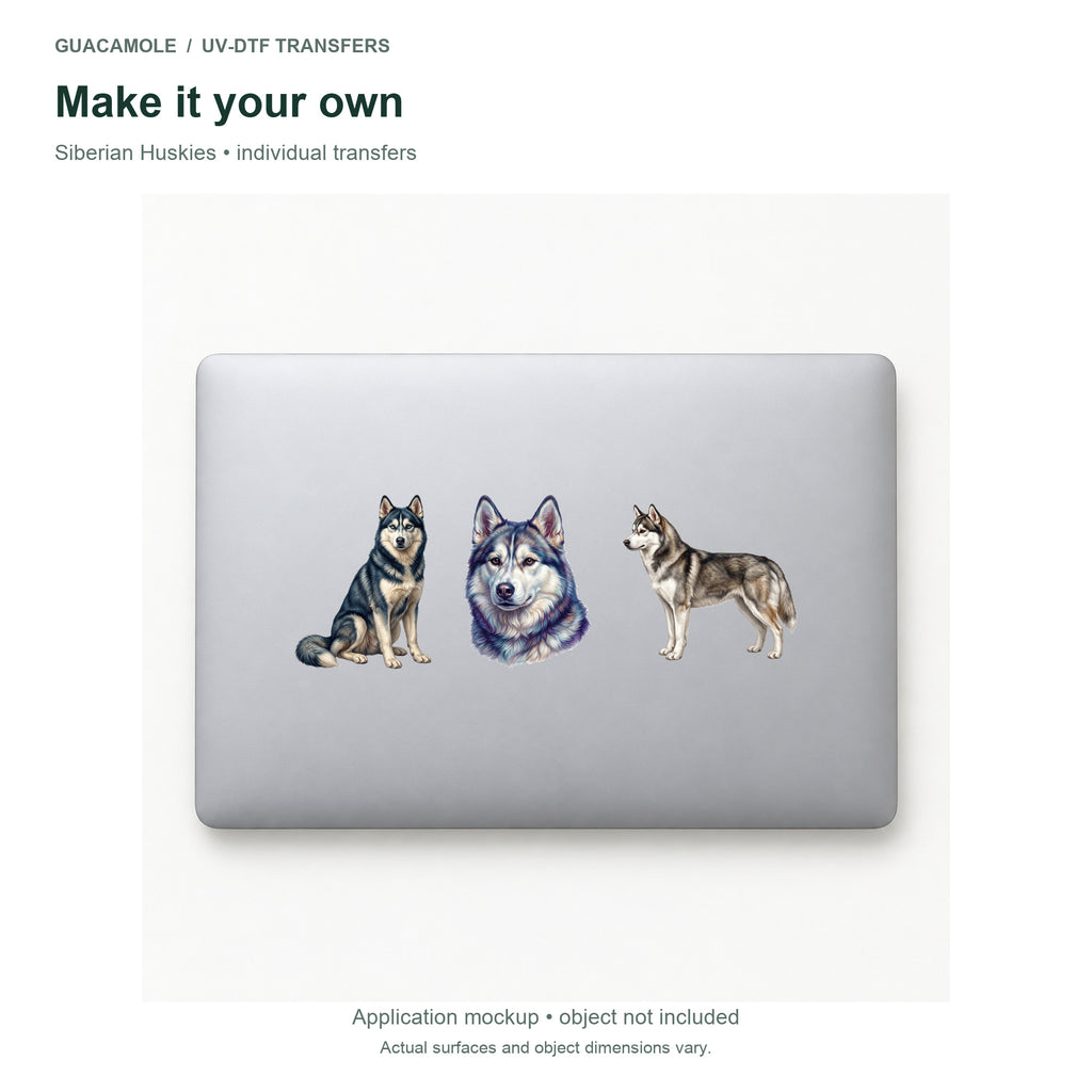 Siberian Huskies — Three designs on a laptop