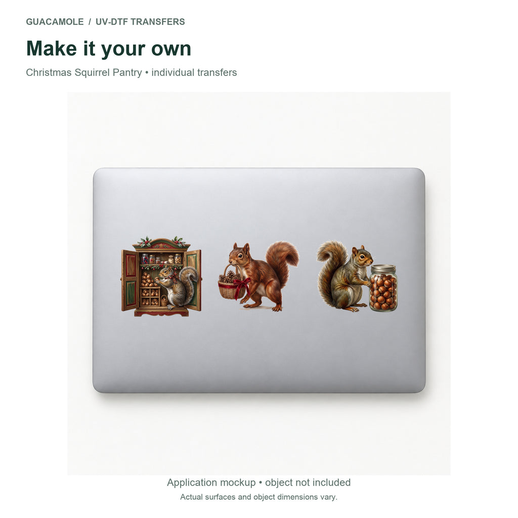 Christmas Squirrel Pantry — Three designs on a laptop