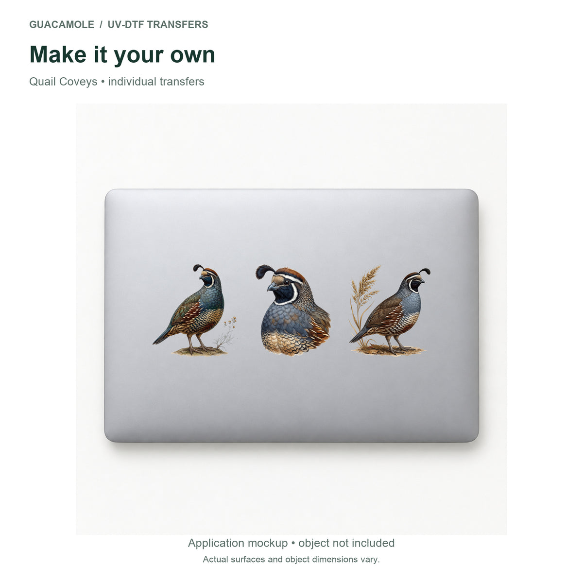Quail Coveys — Three designs on a laptop