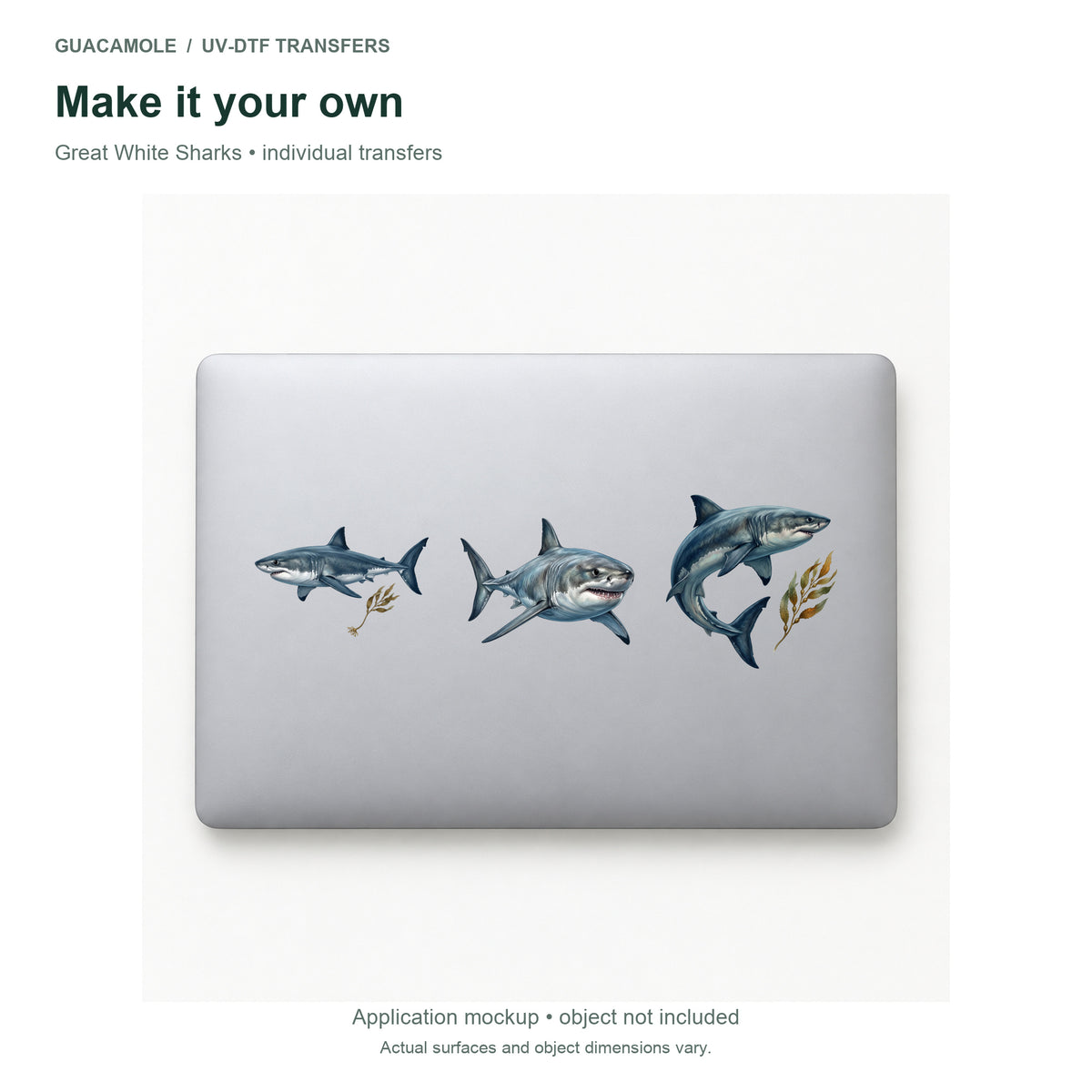 Great White Sharks — Three designs on a laptop