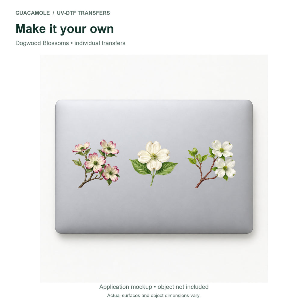 Dogwood Blossoms — Three designs on a laptop