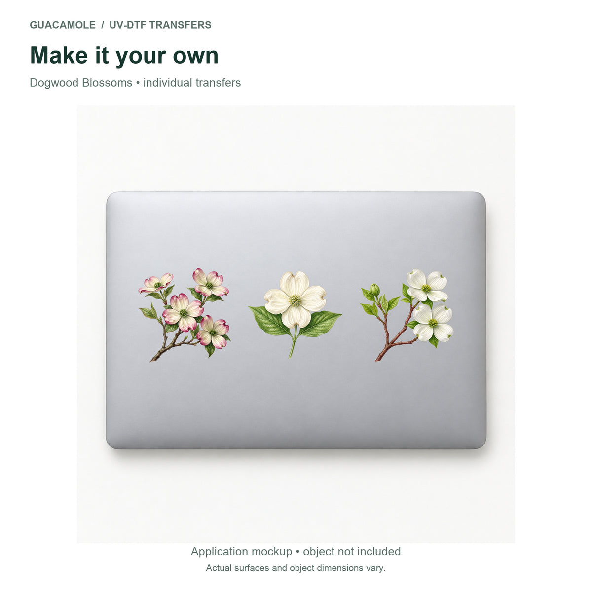Dogwood Blossoms — Three designs on a laptop