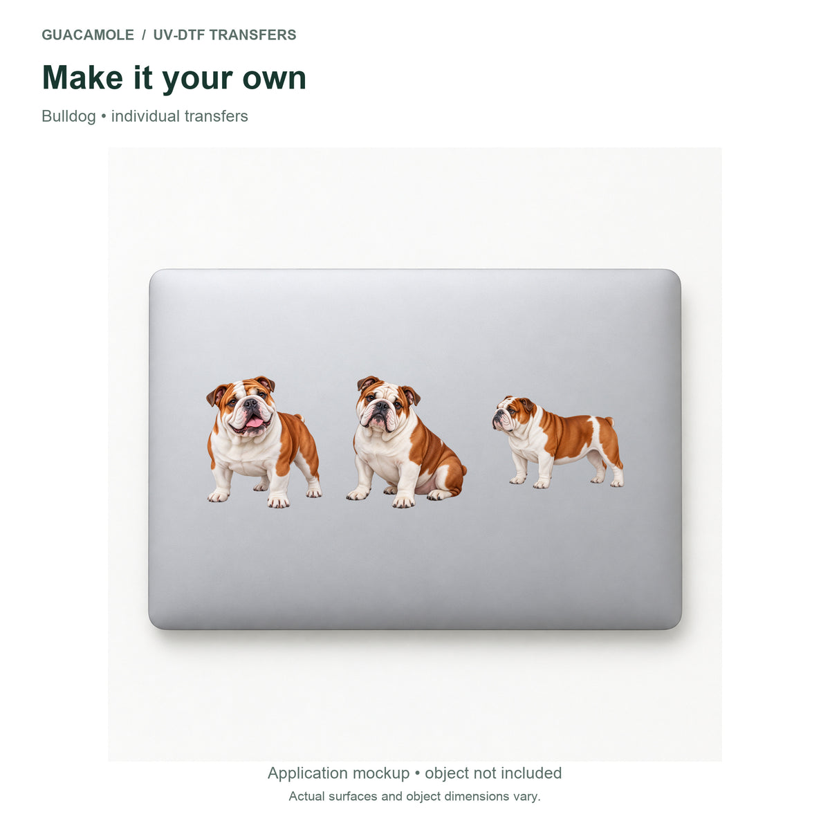 Bulldog — Three designs on a laptop