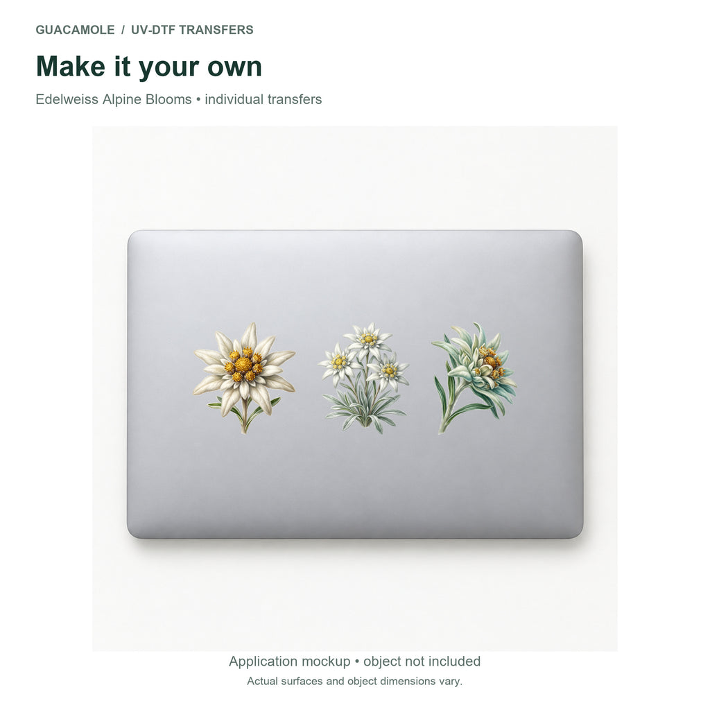 Edelweiss Alpine Blooms — Three designs on a laptop