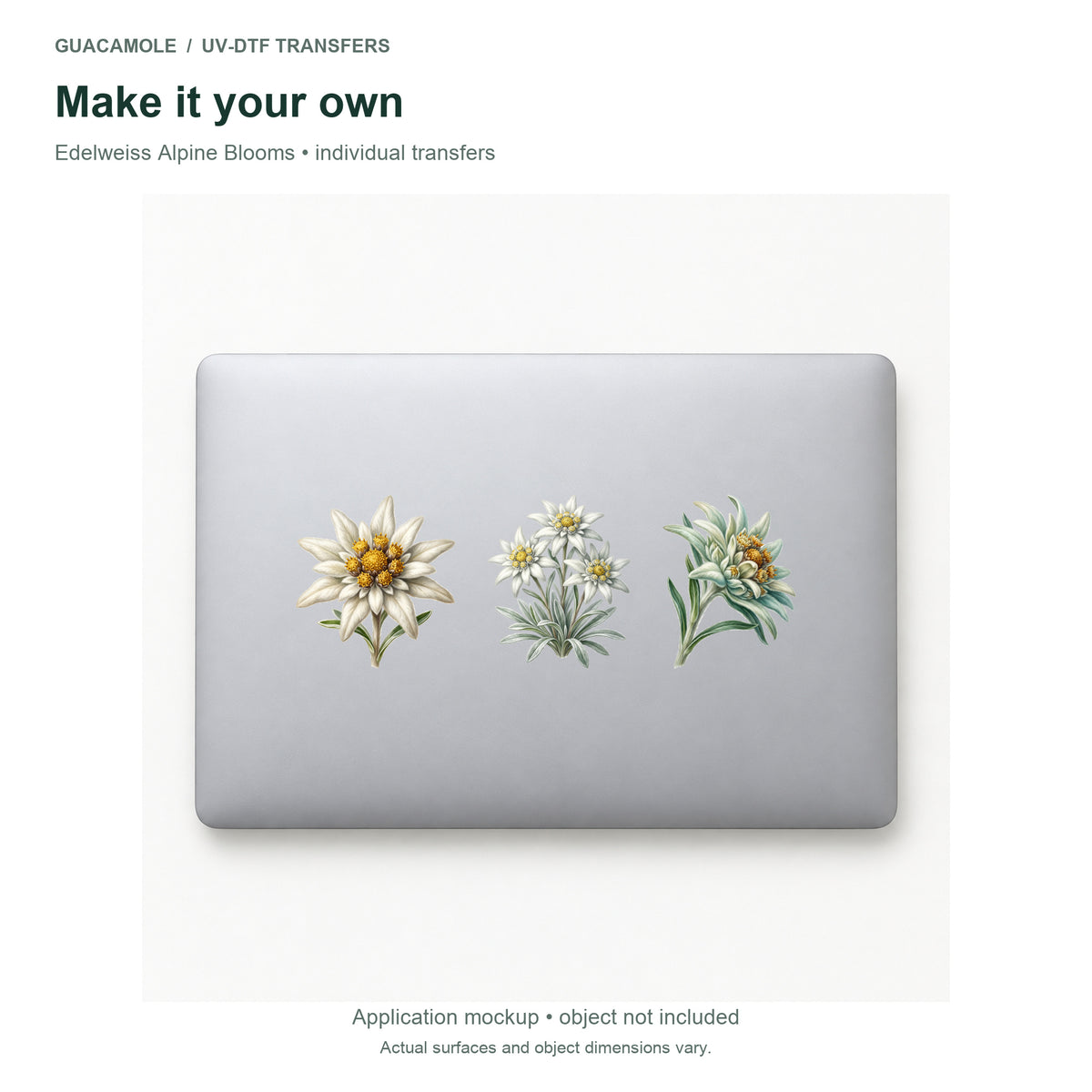 Edelweiss Alpine Blooms — Three designs on a laptop