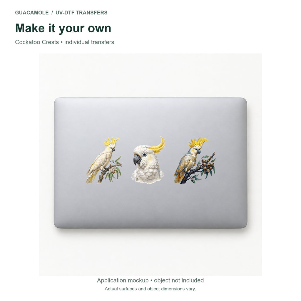Cockatoo Crests — Three designs on a laptop