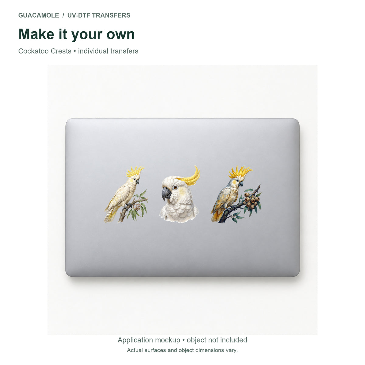 Cockatoo Crests — Three designs on a laptop