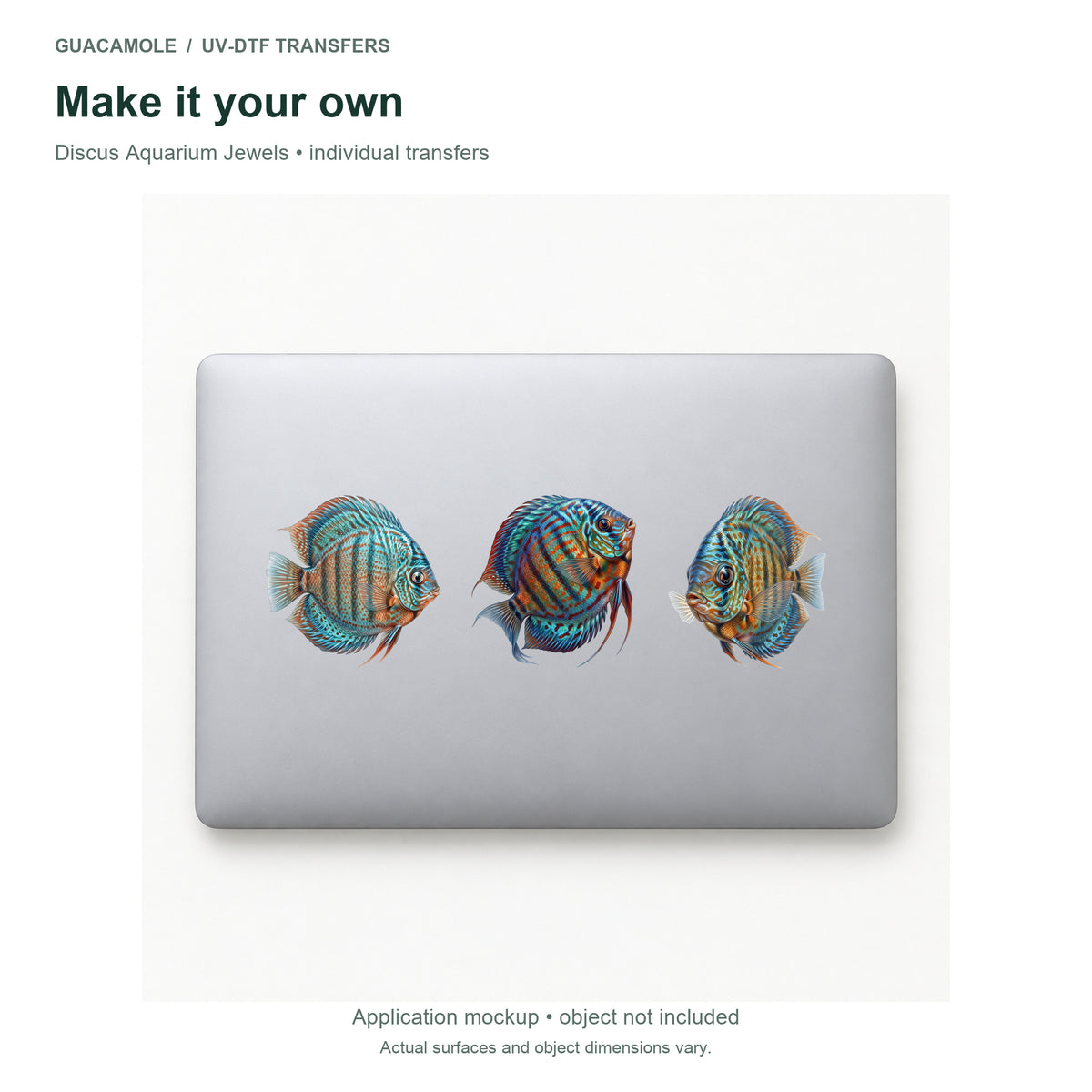 Discus Aquarium Jewels — Three designs on a laptop