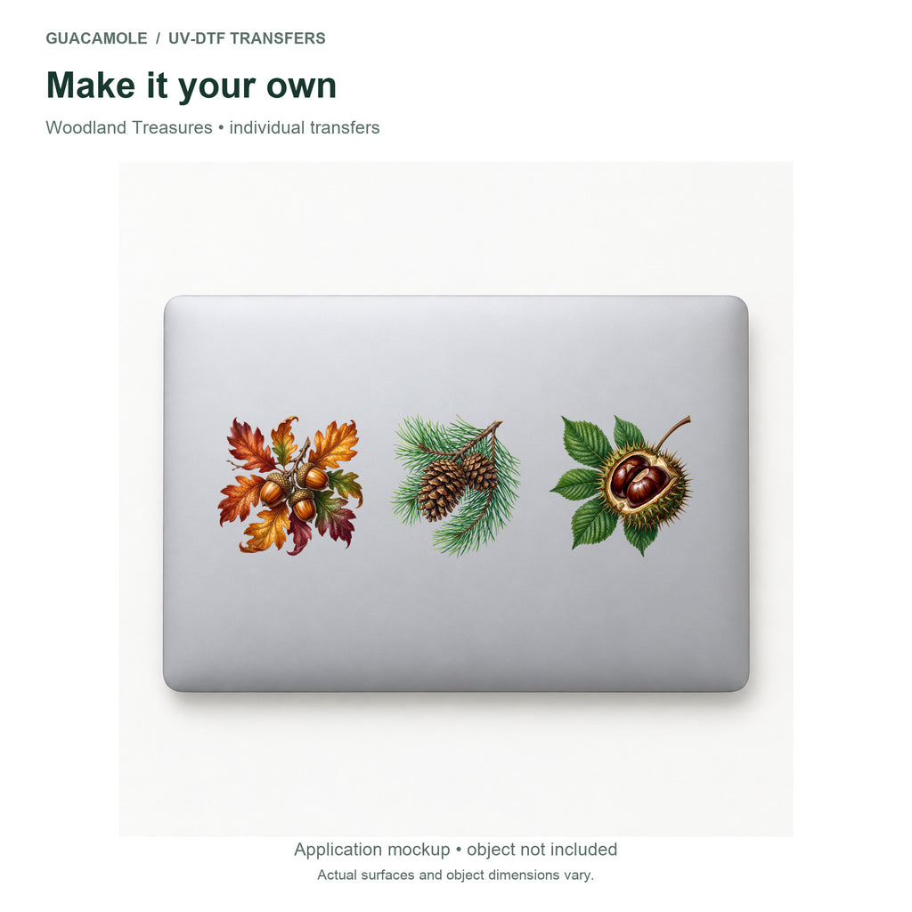 Woodland Treasures — Three designs on a laptop
