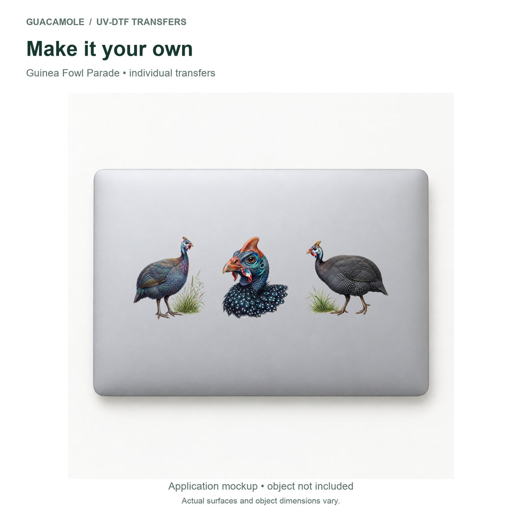 Guinea Fowl Parade — Three designs on a laptop