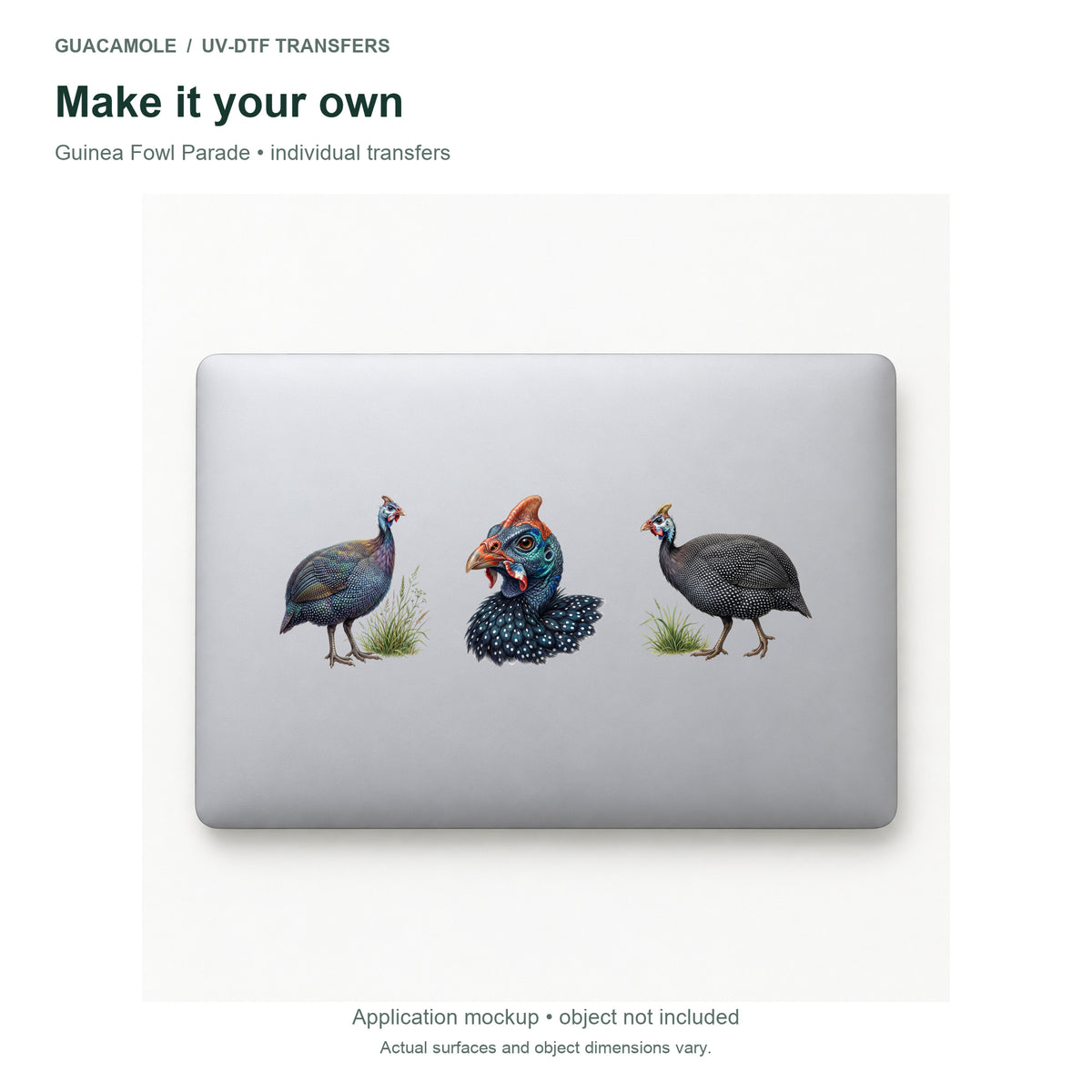 Guinea Fowl Parade — Three designs on a laptop