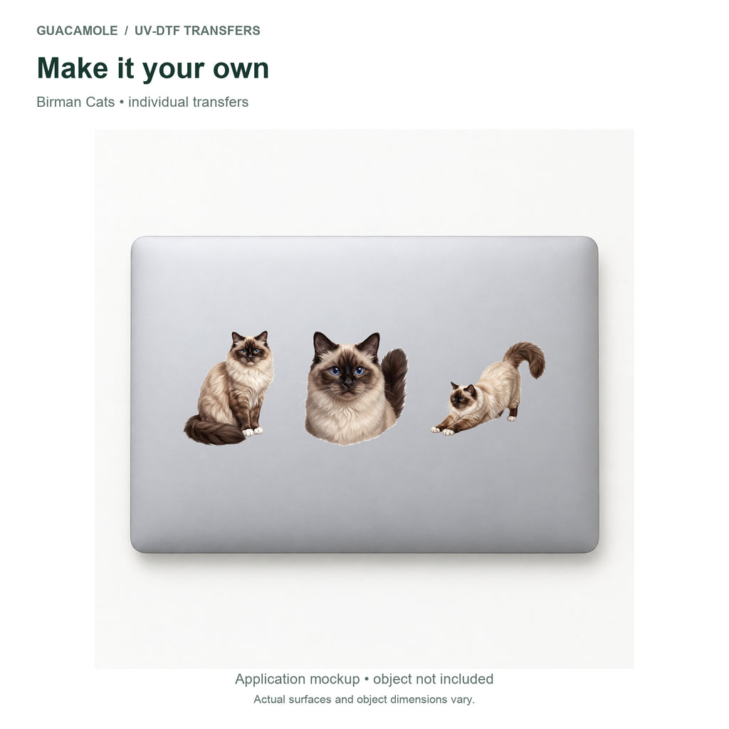 Birman Cats — Three designs on a laptop