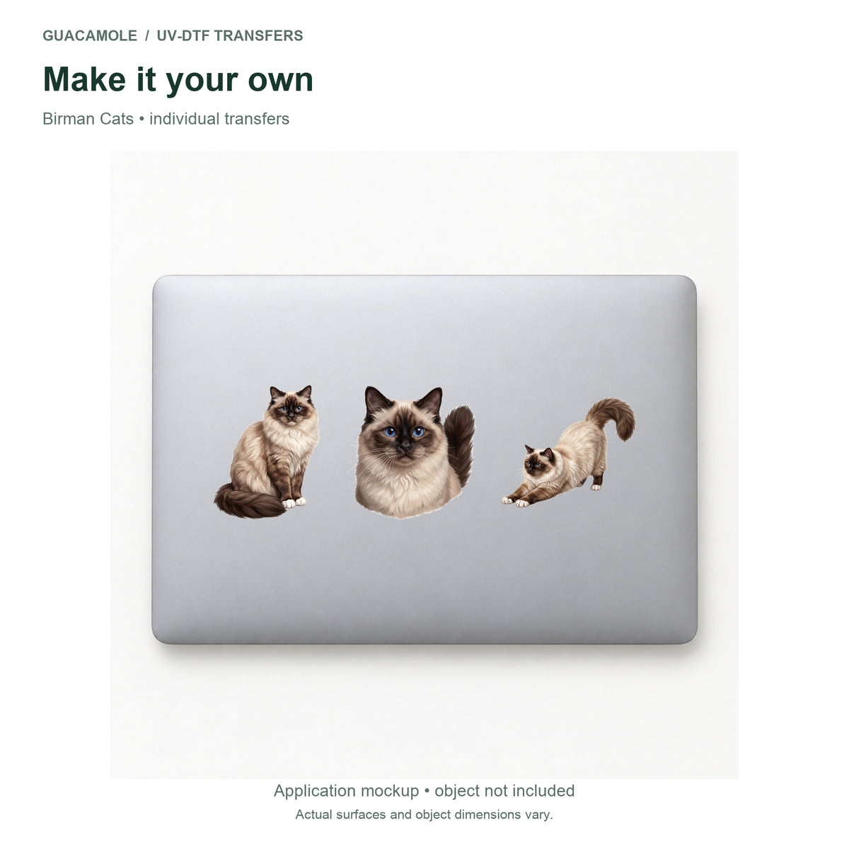 Birman Cats — Three designs on a laptop