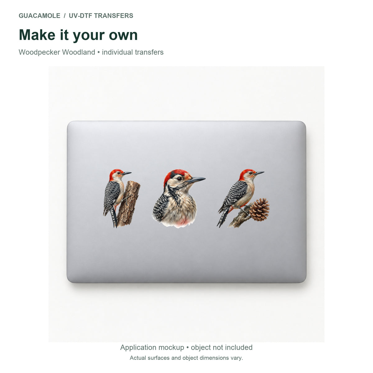 Woodpecker Woodland — Three designs on a laptop