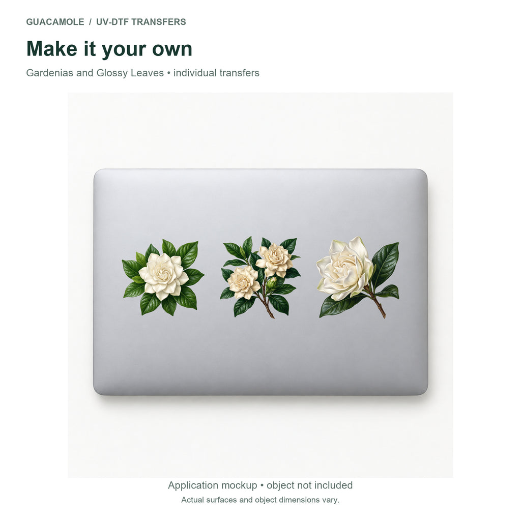 Gardenias and Glossy Leaves — Three designs on a laptop
