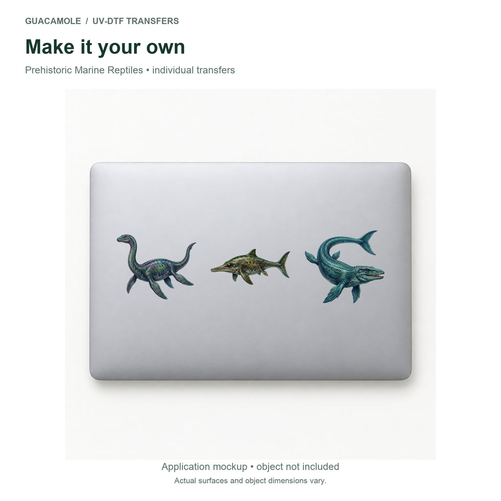 Prehistoric Marine Reptiles — Three designs on a laptop