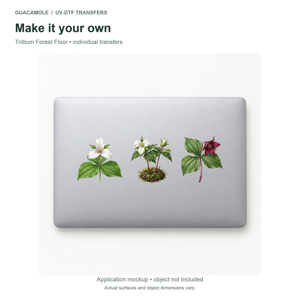 Trillium Forest Floor — Three designs on a laptop