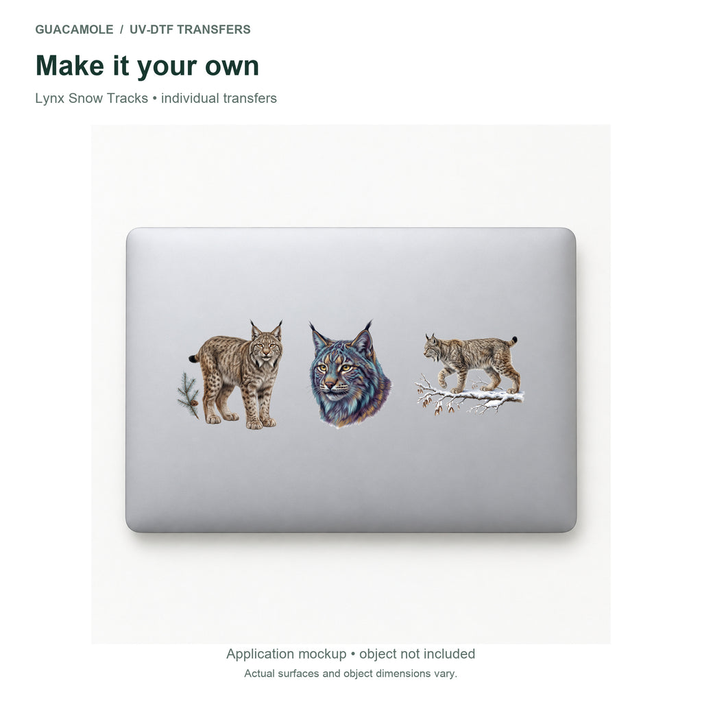 Lynx Snow Tracks — Three designs on a laptop