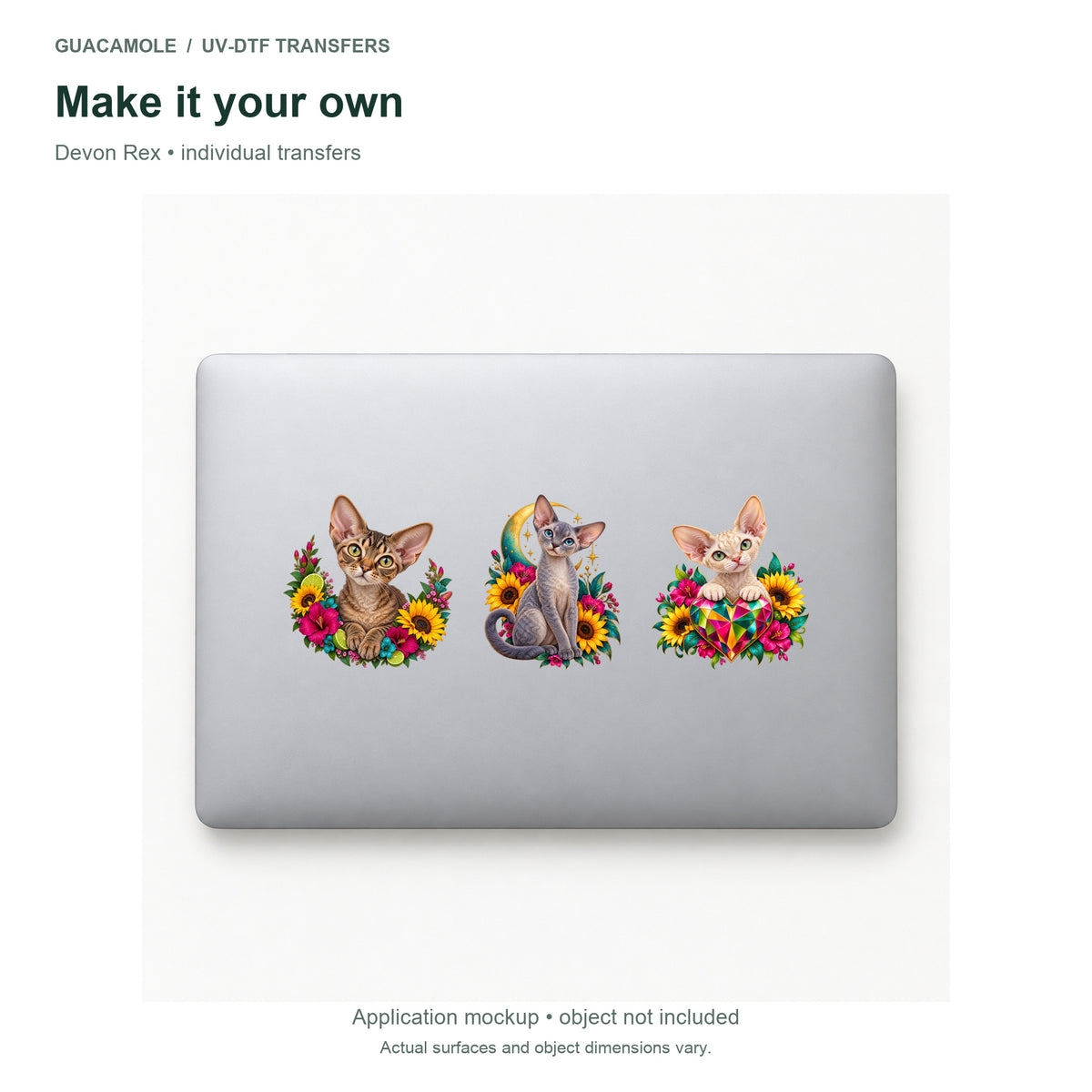 Devon Rex — Three designs on a laptop