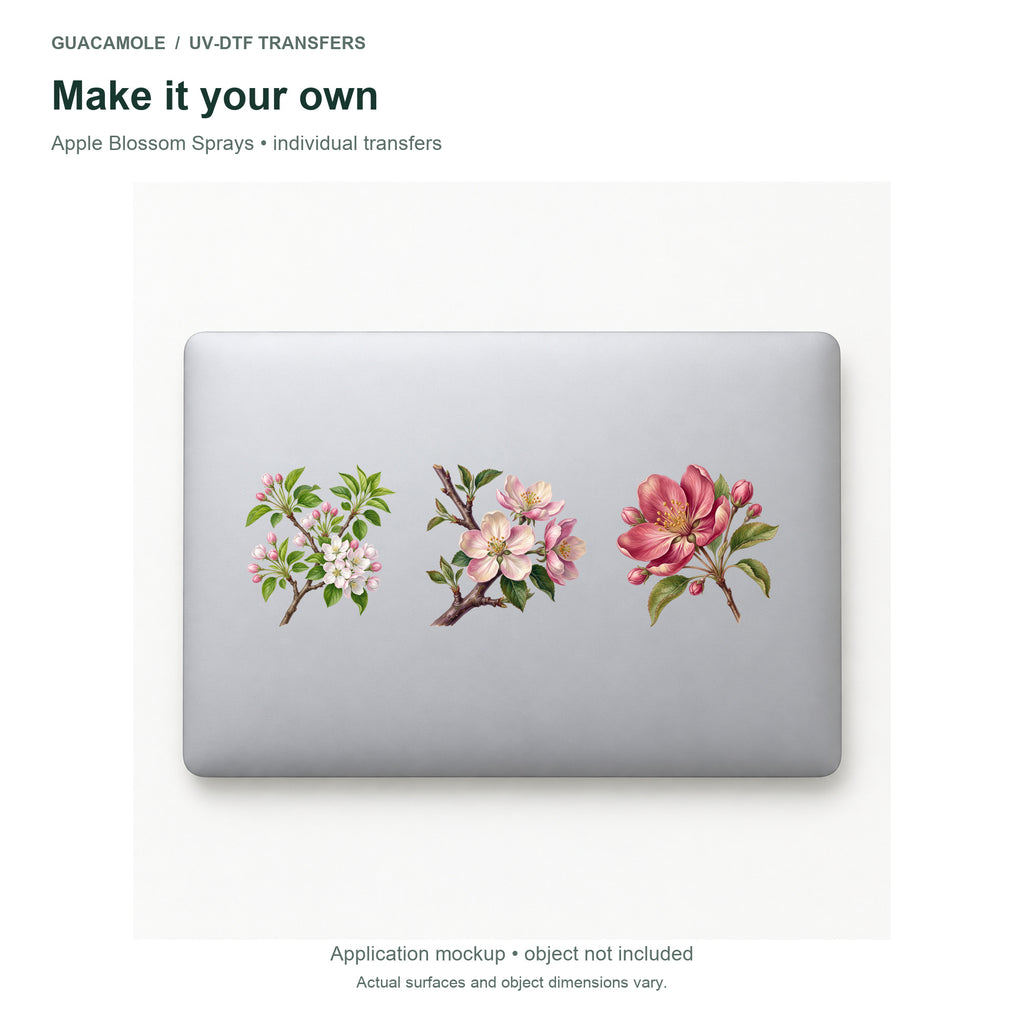 Apple Blossom Sprays — Three designs on a laptop