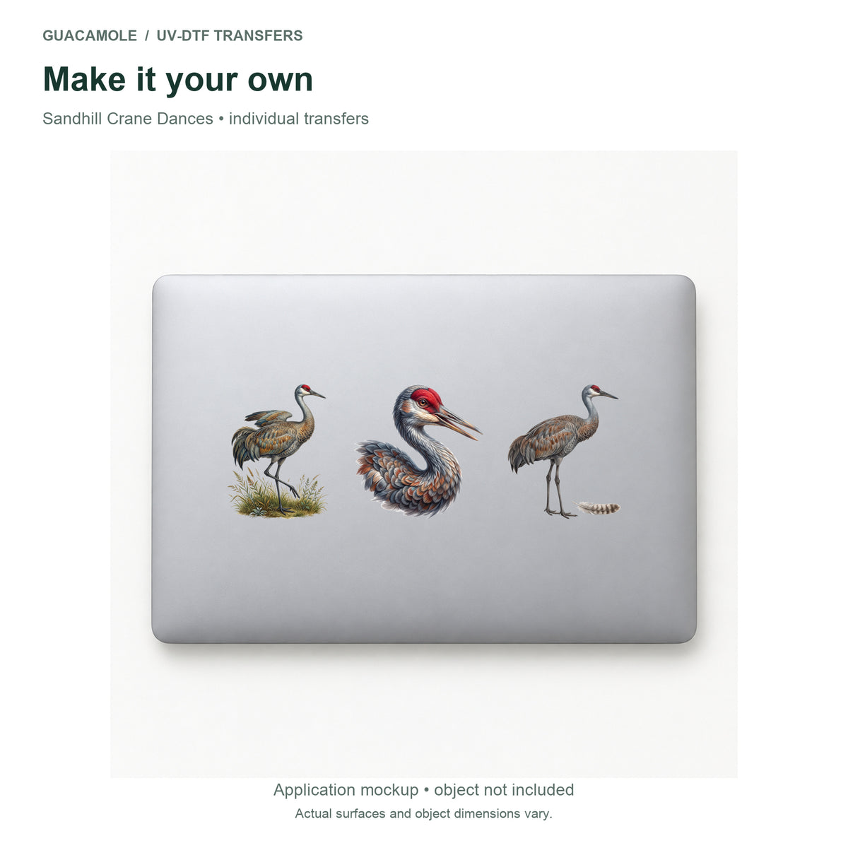 Sandhill Crane Dances — Three designs on a laptop