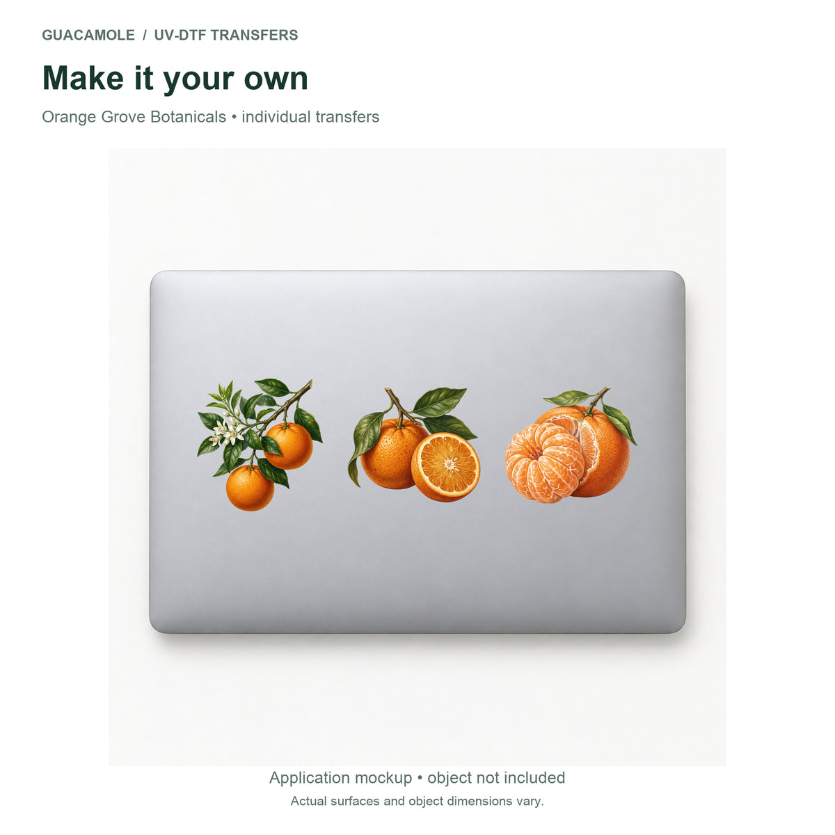 Orange Grove Botanicals — Three designs on a laptop
