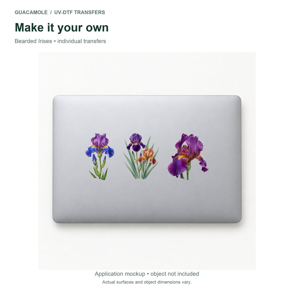 Bearded Irises — Three designs on a laptop
