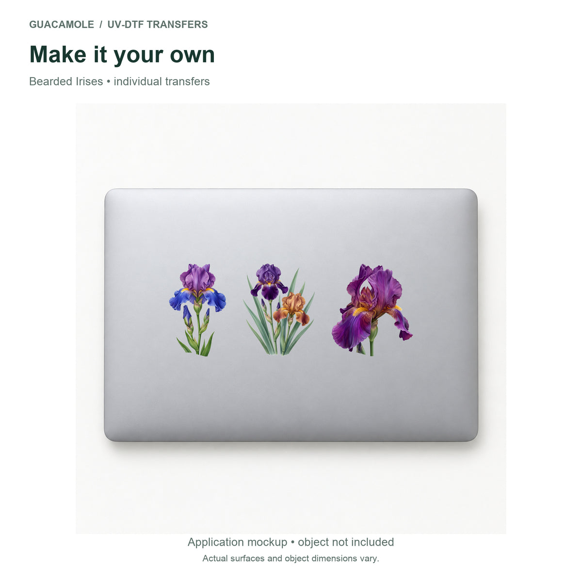 Bearded Irises — Three designs on a laptop