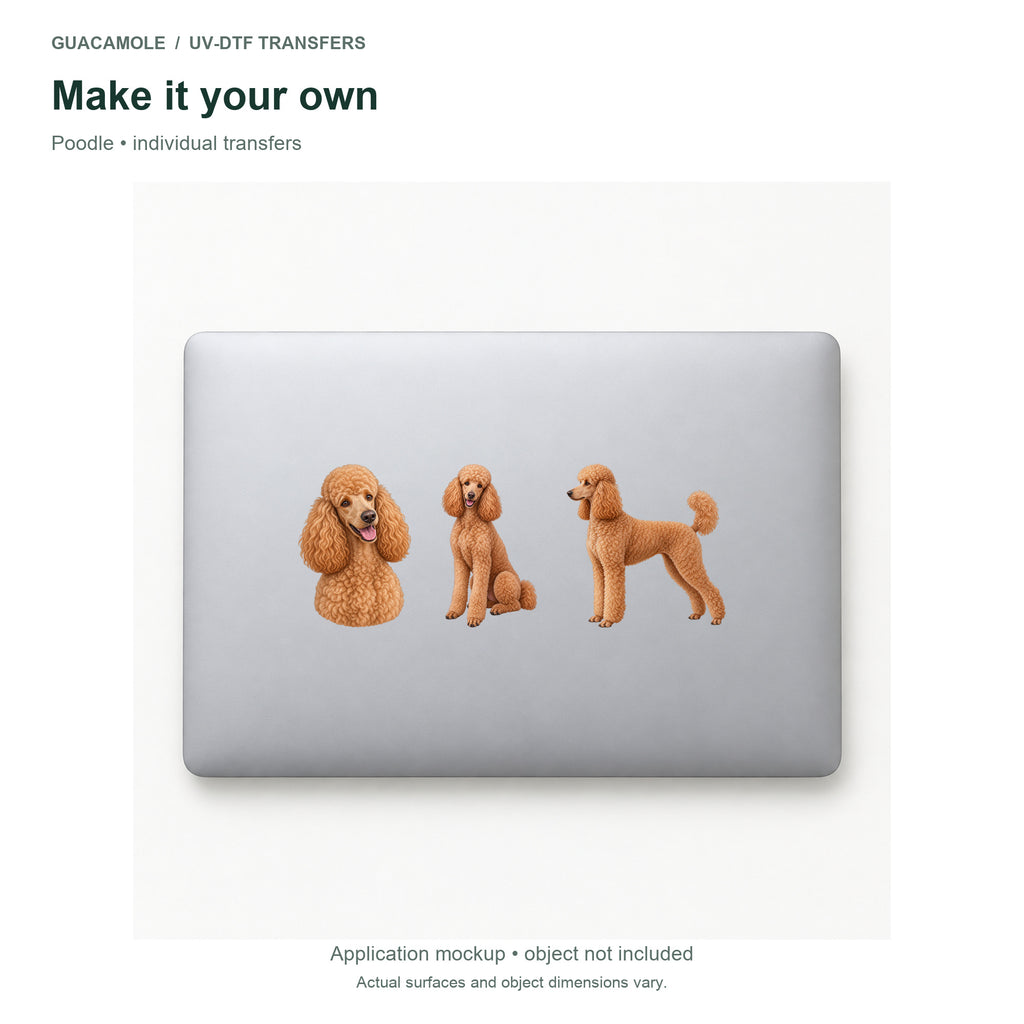 Poodle — Three designs on a laptop