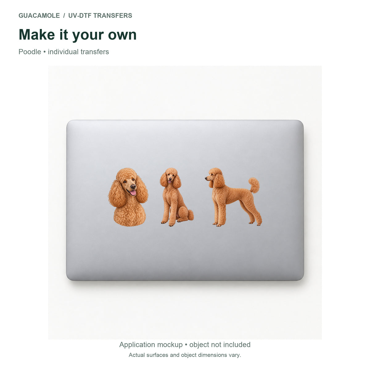 Poodle — Three designs on a laptop
