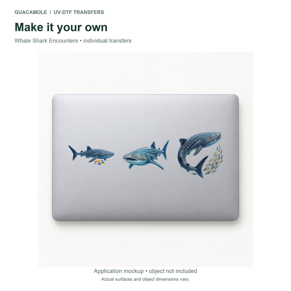 Whale Shark Encounters — Three designs on a laptop