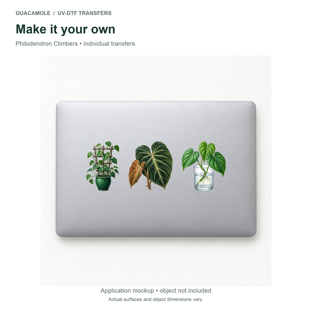 Philodendron Climbers — Three designs on a laptop