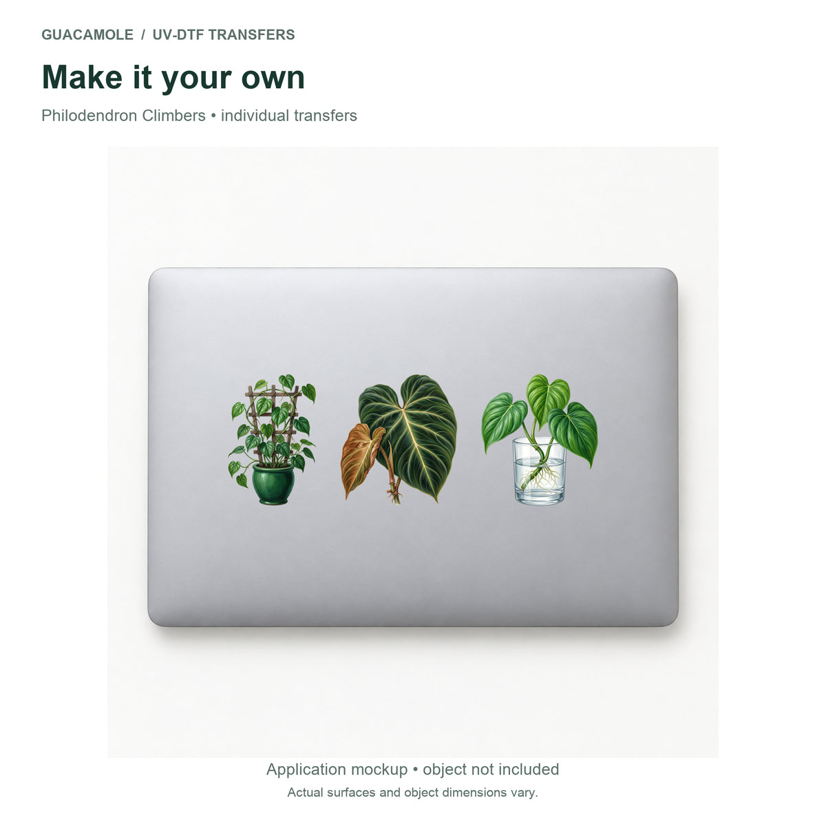 Philodendron Climbers — Three designs on a laptop