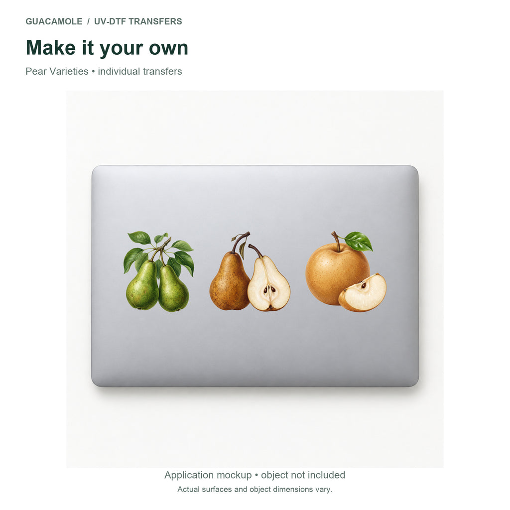 Pear Varieties — Three designs on a laptop