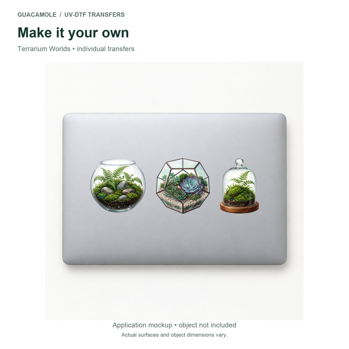Terrarium Worlds — Three designs on a laptop