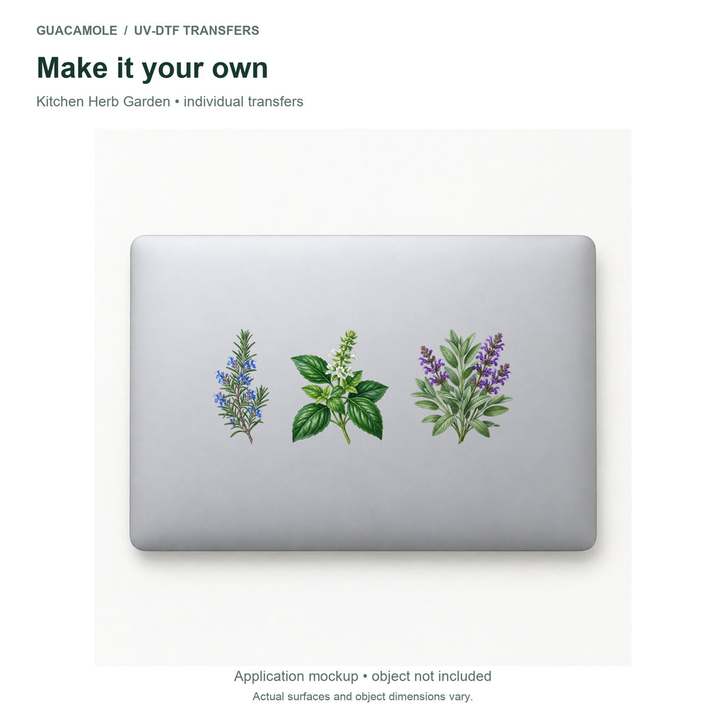 Kitchen Herb Garden — Three designs on a laptop