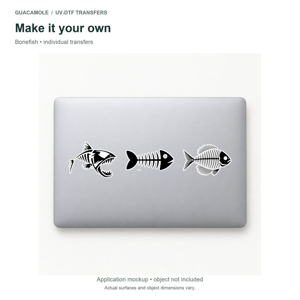 Bonefish — Three designs on a laptop