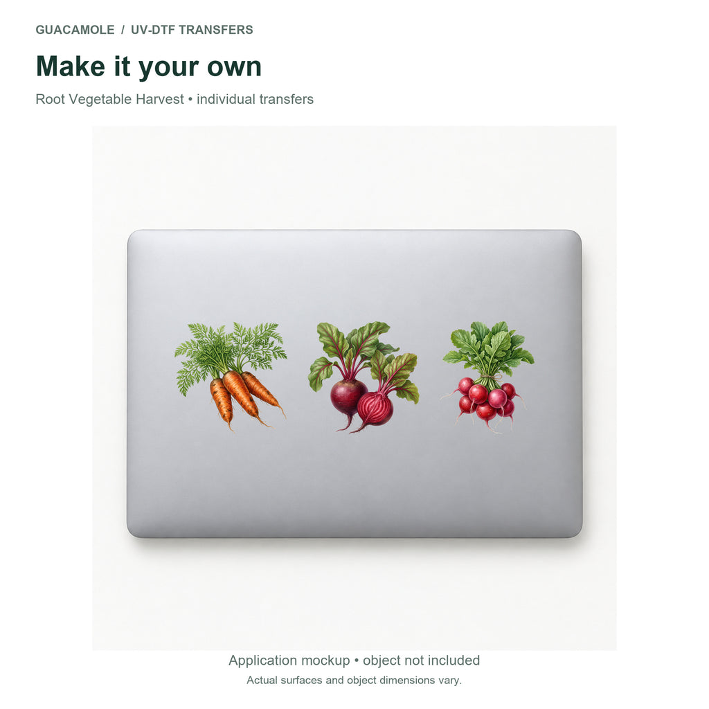 Root Vegetable Harvest — Three designs on a laptop