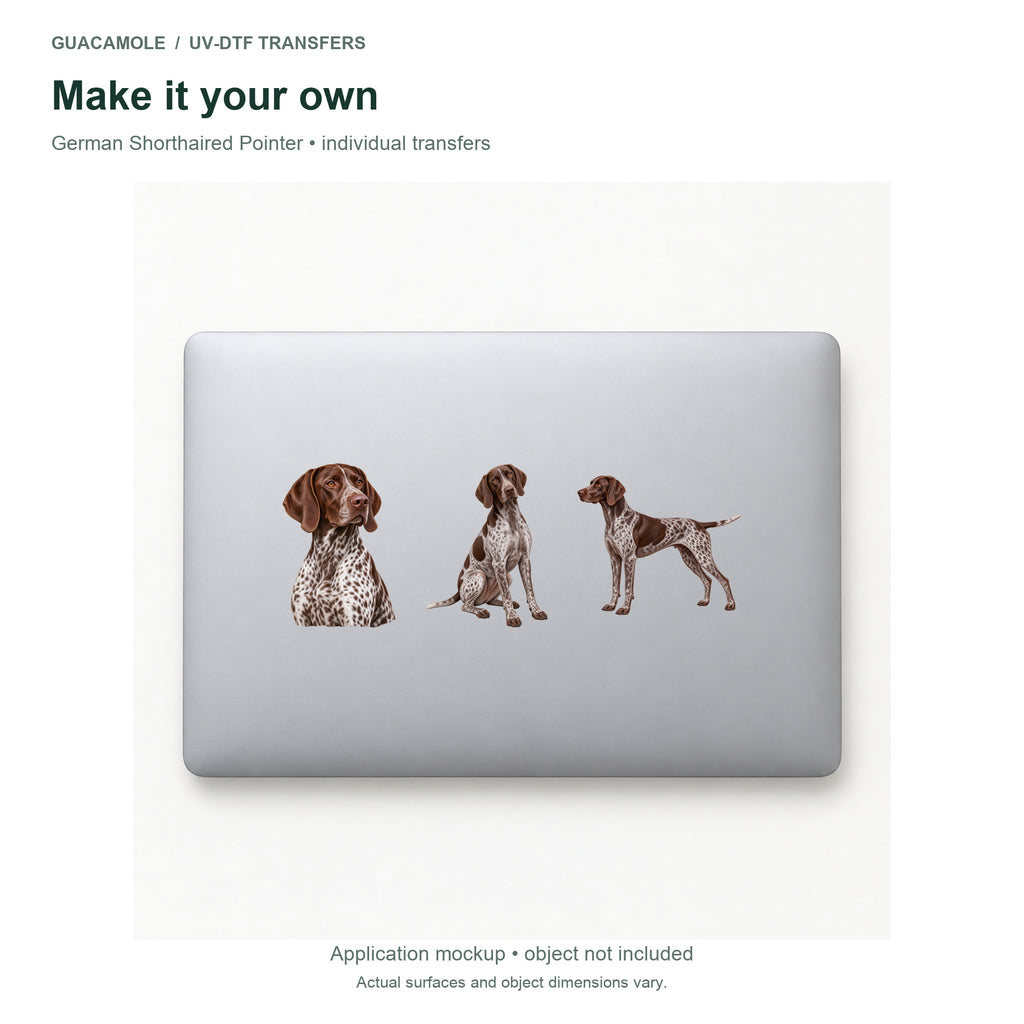 German Shorthaired Pointer — Three designs on a laptop