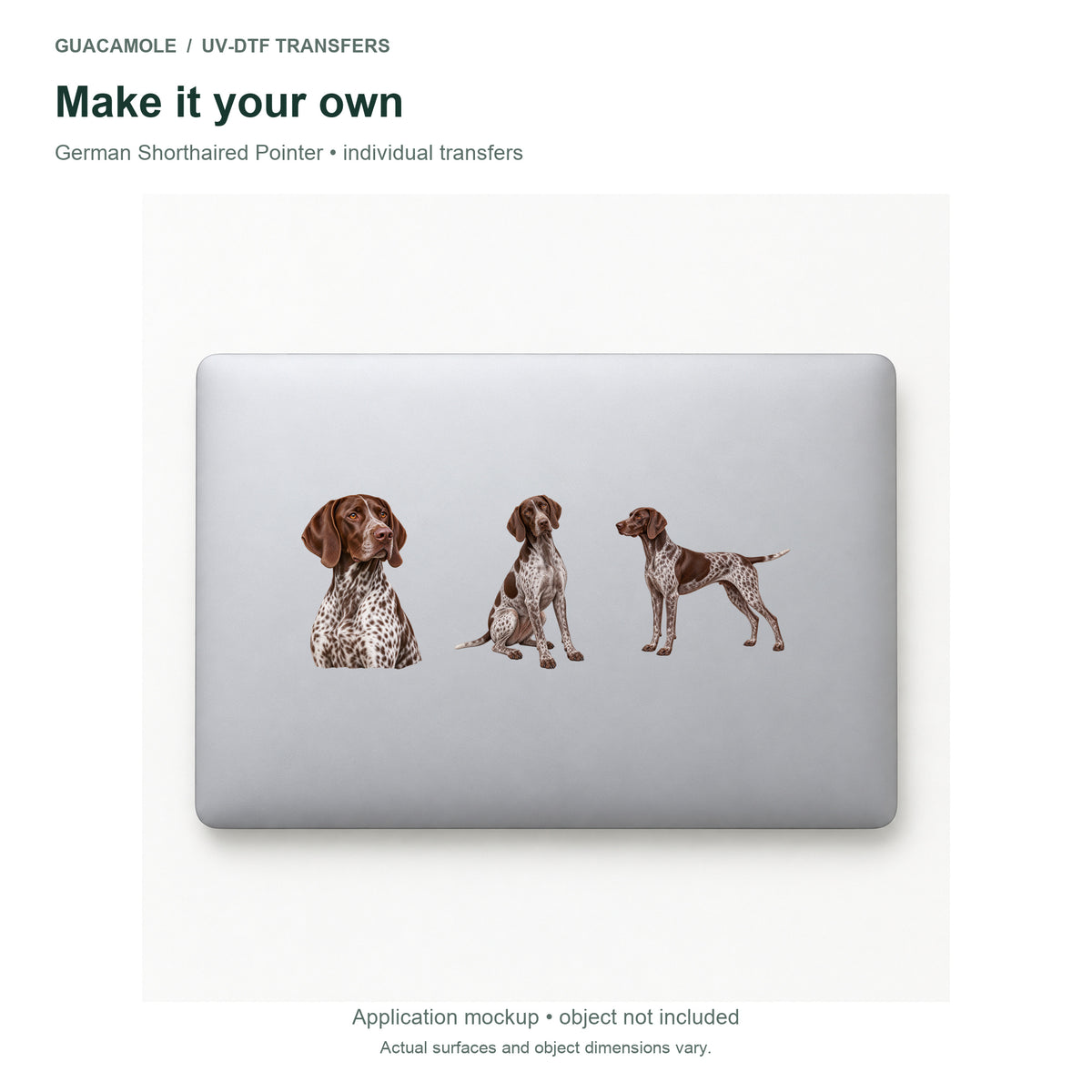 German Shorthaired Pointer — Three designs on a laptop