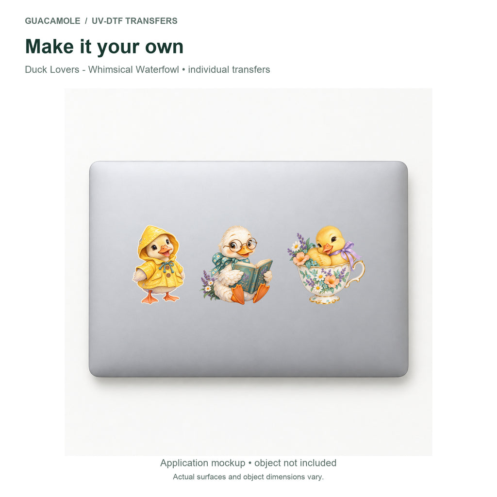 Duck Lovers - Whimsical Waterfowl — Three designs on a laptop