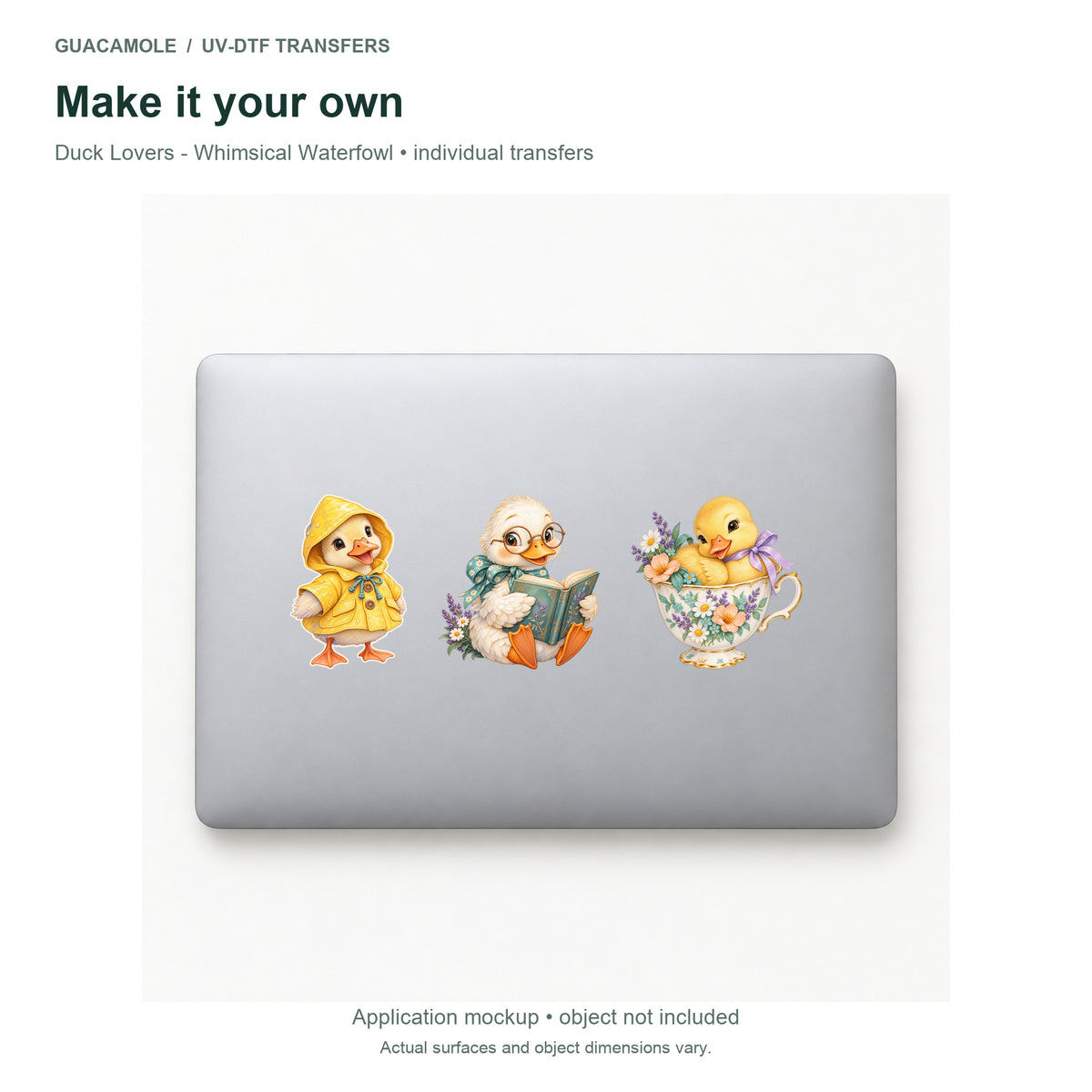 Duck Lovers - Whimsical Waterfowl — Three designs on a laptop