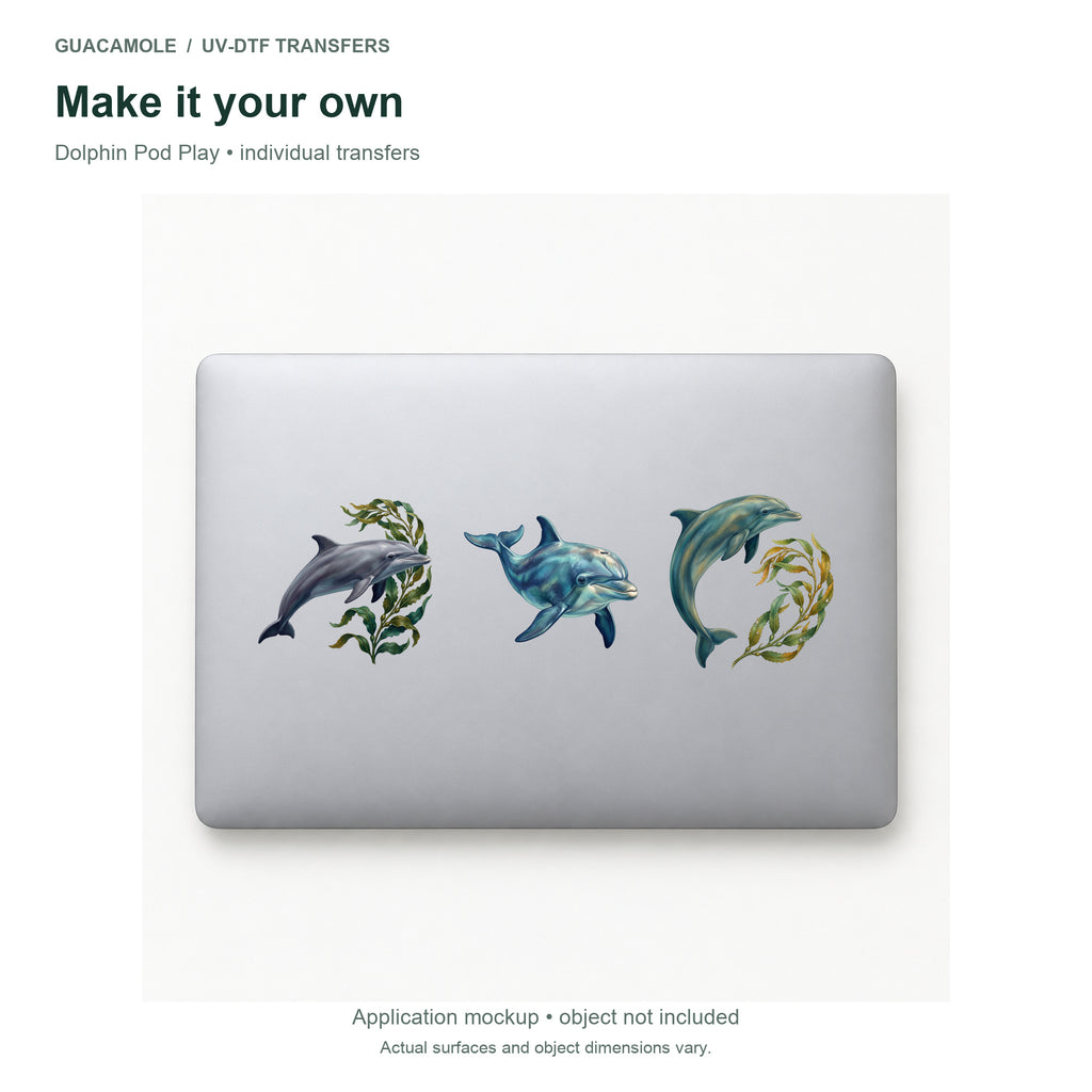 Dolphin Pod Play — Three designs on a laptop