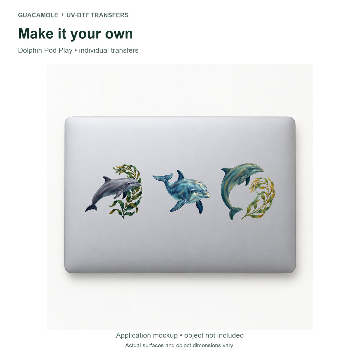 Dolphin Pod Play — Three designs on a laptop
