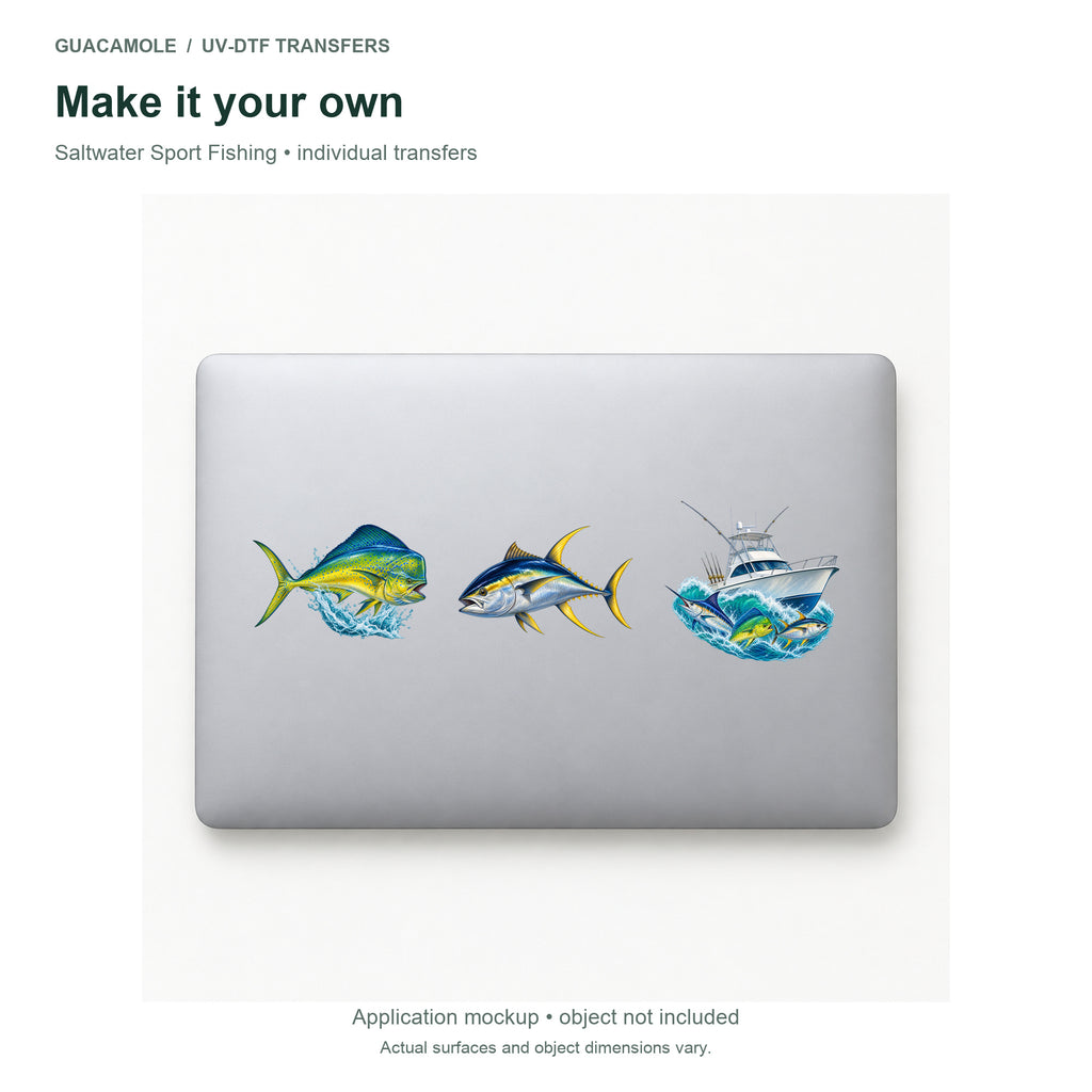 Saltwater Sport Fishing — Three designs on a laptop
