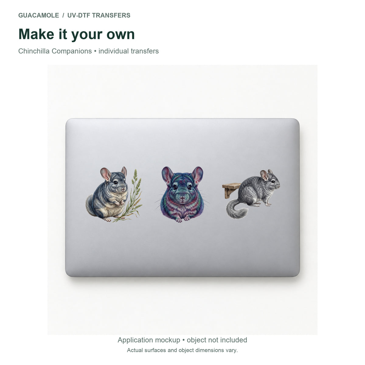 Chinchilla Companions — Three designs on a laptop