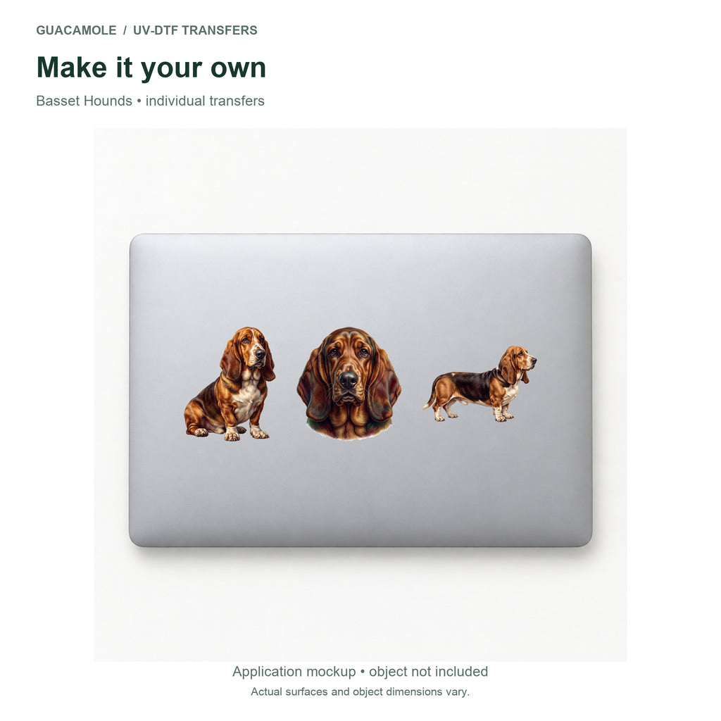 Basset Hounds — Three designs on a laptop